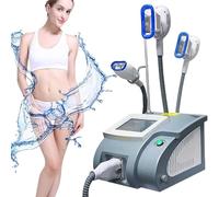 Cryolipolysis Machine Freeze Sliming Machine avec 3 poignées, Masseur d'élimination Cellulite, Body Cryo Fat Freeze pour Mise en Forme du Corps