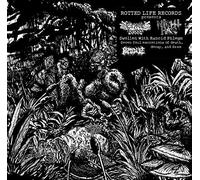 Cryptic Brood & Nigh Hag - Swollen With Rancid Phlegm
