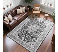 CRYPTOLITE Tapis pour Salon et Chambre à Coucher