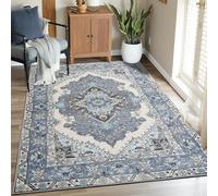 CRYPTOLITE Tapis pour Salon et Chambre à Coucher