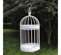 Crysdaralovebi Cage à oiseaux moderne en fer forgé blanc petit milieu ensembles grande cage à oiseaux décoration pot de fleurs plantes succulentes (L)