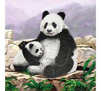 Crystal Art Kit Carte Broderie Diamant 18x18cm Pandas