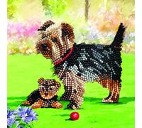 Crystal Art Kit Carte Broderie Diamant 18x18cm Yorkshire