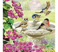 CRYSTAL ART Kit Diamond Painting Dès 8 Ans - Activité DIY Adulte, Enfant - Carte à Diamanter 18 x 18 cm - Baignade Oiseaux - avec Cristaux, Stylet et Accessoires - Cadeau Créatif