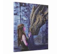 CRYSTAL ART Kit Tableau à diamanter sur châssis 40 x 50 cm - Fantasy Dragon