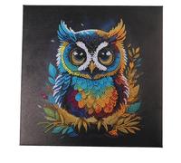 Crystal Art Kit Tableau Broderie Diamant 30x30cm- Chouette