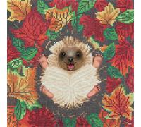 Crystal Art Kit Tableau Broderie Diamant 30x30cm Hérisson