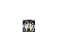 Crystal Art Kit Tableau Broderie Diamant 30x30cm Loup
