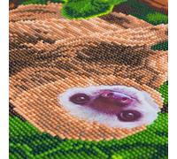 CRYSTAL ART Kit tableau broderie diamant sur chassis toilé 30x30cm - Paresseux