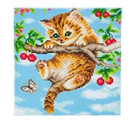 CRYSTAL ART - Kit Tableau Broderie Diamant sur Chassis Toilé - Activité Manuelle de Peinture - Loisirs Créatifs - Adulte et Enfant - Thème : Chaton Acrobate - Format : 30 x 30 cm