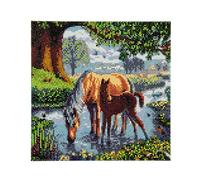 CRYSTAL ART - Kit Tableau Broderie Diamant sur Chassis Toilé - Activité Manuelle de Peinture - Loisirs Créatifs - Adulte et Enfant - Thème : Les Chevaux - Format : 30 x 30 cm