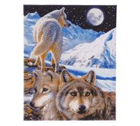 CRYSTAL ART The Sentinel 40 x 50 cm Portrait encadr