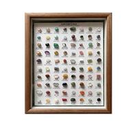 Crystal Collection Kit - Kit d'identification minérale de 22 cm, spécimens minéraux, pierres précieuses brutes, identification des spécimens | Ensemble de cristaux bruts | Cadre en bois brut classique