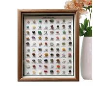 Crystal Collection Lot d'échantillons minéraux naturels 80 pièces Kit d'identification classique avec cadre en bois | Collection éducative de pierres précieuses, plusieurs ornements en pierre