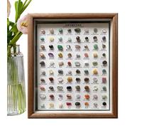 Crystal Collection Set, 80x Mineral Specimens, Rock Collection Kit, Rough Crystal Display, 10.83x8.86 Inches, Classic Bumpy in Wooden Frame for Women Men