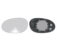 IPARLUX 31051011 Miroir de rétroviseur