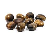 CrystalAge Lot de 5 pierres œil de tigre (20-25 mm)