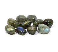 CrystalAge Lot de 5 pierres labradorite (20-25 mm)