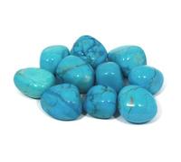 CrystalAge Pierre Howlite Turquoise 20-25 mm