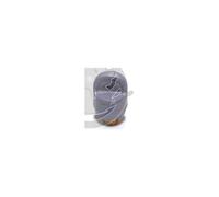 CS-00132541, BOUCHON CHAUDIERE, CENTRALE VAPEUR Calor
