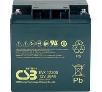 CSB Battery EVX 12300 EVX12300 Batterie au plomb 12 V 30 Ah plomb (AGM) (l x H x P) 166 x 175 x 125 mm raccord à vis M5 résistant