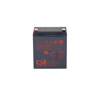 CSB HR1221W Sealed Lead Acid (VRLA) 12V batterie rechargeable - Batteries rechargeables (21 Wh, Sealed Lead Acid (VRLA), 12 V, Noir)