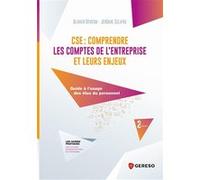 Cse : Comprendre Les Comptes De L'entreprise Et Leurs Enjeux - Guide À L'usage Des Élus Du Personnel