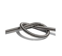 CSFFA Bobine chauffante élastique droite for poêle et four, 220 V, flexible, à ressort, 300 W, 500 W, 600 W, 800 W, lot de 10.(500w 196mmL)