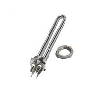 CSFFA Élément chauffant à eau G1" 12 V/24 V/36 V/48 V CC 200 m, résistance de chauffage par induction solaire 200 W/300 W/600 W/900 W/1,5 kW(Type 1 with nut,48V,200W 200mmL 304SS)