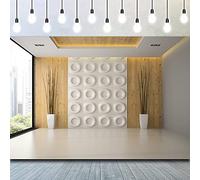 CSFOTO Toile de fond pour intérieur, Room009-TBK20198., 8x6.5ft