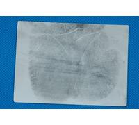 CSI Lot de 12 supports en gel pour empreintes digitales et empreintes de paume, pour ramasser les empreintes digitales latentes, scène de crime, fournitures médico-légales, blanc palmier 76 x 102 mm