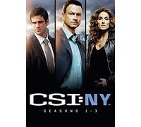 CSI New York Seasons 13 [Edizione: Regno Unito] [Import]