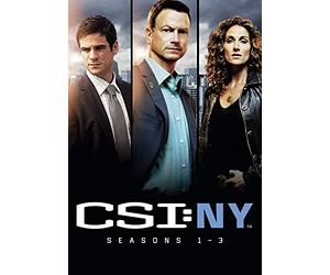 CSI New York Seasons 13 [Edizione: Regno Unito] [Import]