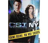 CSI NY: The Sixth Season
