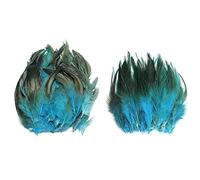 Csirnto Plumes 200 Pièces Naturelles Plumes de Coq Artisanat Plumes Décoration Coq Plume Plumes de Poulet Plumes de Faisan Plumes Naturelles pour Artisanat DIY Dream Catcher Costume Décoration