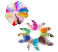 Csirnto Plumes Colorées 200 Pièces Plumes Loisirs Creatifs Plume Multicolore Décoration Plume pour l'artisanat Plumes de Multicolore pour Travaux Manuels Chapeaux ou Décorations de Cheveux