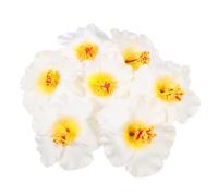 CSXMONEY Lot de 10 fleurs d'hibiscus hawaïennes artificielles pour décoration de table (blanc)
