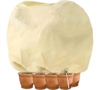 CT Housse hivernage pour plantes, Housse d'hivernage Non tissée 80 g/m² Protection Contre Le Gel des Plantes en Pots et rosiers (240x200cm)