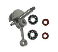 CTASRIM Joint d'étanchéité de palier de Vilebrequin Compatible avec Les débroussailleuses FS160, FS180, FS220, FS280 et FS280K - Pièce de Rechange d'origine OEM 4119030040