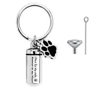 CTDMJ Porte-clés Urne Funéraire en Acier Inoxydable - Forme de Patte de Chien, Mini Urne pour Cendres d'Animaux Domestiques, Bijoux Souvenir