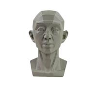 CTDWNT Tête planaire pour artistes, modèle de tête pour artistes, visage original et planaire, apprentissage des plans de la tête, tête de mannequin humain pour dessin médical et artistique, croquis,