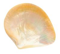 CTIRCHIU Assiette à Dessert Élégant en Coquille Naturelle Multifonction Forme Unique et Facile à Nettoyer pour Restaurant et Café