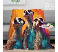 CTJQHVKZ 3D Imprimé Meerkats Standing Plaid de Salon Microfibre Moelleux Vif numérique Art Couverture Antistatique Lavable en Machine pour Propriétaires Locataires Jeunes 70×80inch(180x200cm)