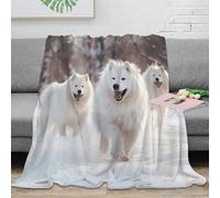 CTJQHVKZ 3D Imprimé Snowy Chien Pack Plaid de Voyage Microfibre Literie Mignon Duveteux Animal Couverture Moelleuse Inaltérable Infroissable pour Adultes Jeunes Couples 80×90inch(200x230cm)