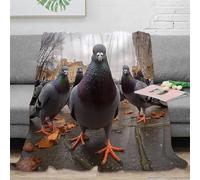 CTJQHVKZ 3D Imprimé Urban Pigeon scène Couverture Moelleuse Microfibre Chaud City Street Bird Life Couverture Antistatique pour Étudiants Locataires Jeunes 70×80inch(180x200cm)