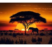 CTOP Kit Diamond Painting Savane 40 x 50 cm