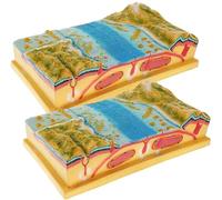 CTTQIBUIN Lot de 2 modèles 3D de tectonique des plaques géologiques, modèle d'interprétation de carte topographique de contour, modèles scientifiques de relief topographique géologique, incluant le