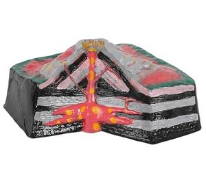 CTTQIBUIN Structure Interne volcanique, modèle tectonique des plaques 3D, modèle de démonstration volcanique avec Lave, Outils d'enseignement de la géographie, for l'étude de la géomorphologie.