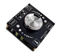 Ctzrzyt XY-AP100L 100WX2 5.0 Carte Amplificateur StéRéO AUX USB Carte Son Amplificateur de Puissance NuméRique Amplificateur 12 V 24 V