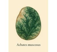 Cuaderno de Cuadrícula 5x5 mm - Achates muscosus - 100 Páginas - 21,59 x 27,94 cm: Portada científica con ilustración realista de ágata musgosa y ... de la geología, cristales y arte natural